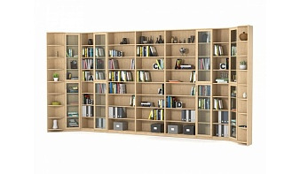 Шкаф для книг Ксено 7 BMS по индивидуальному заказу