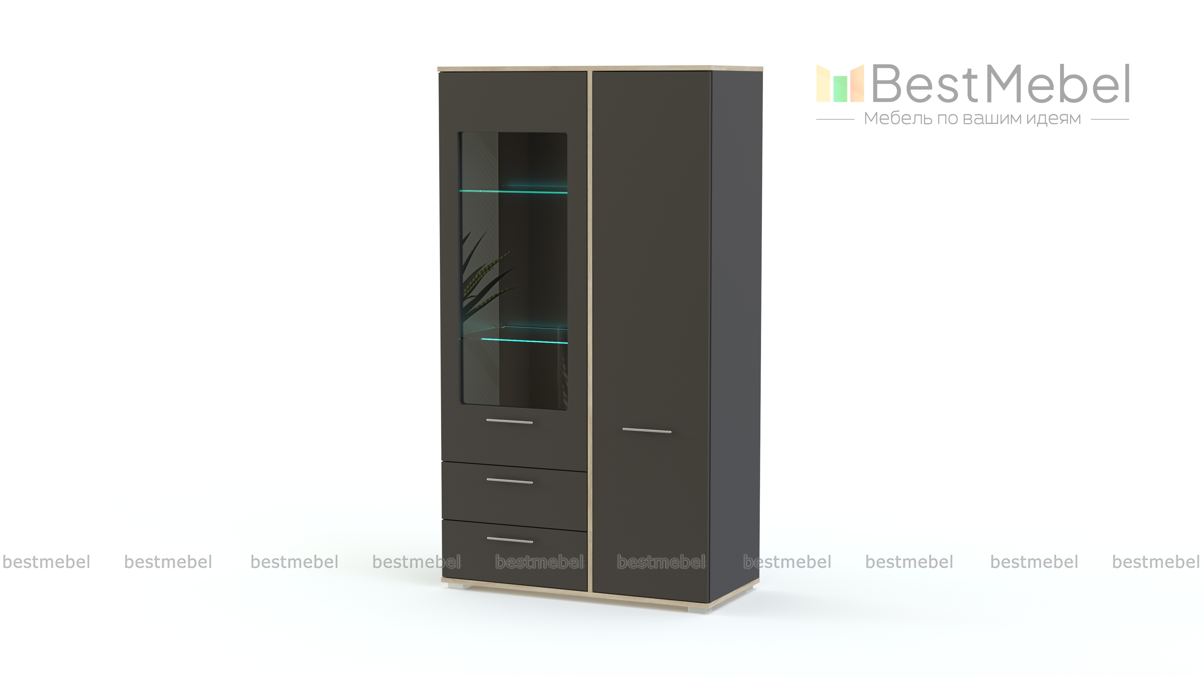 Витрина Энио BMS