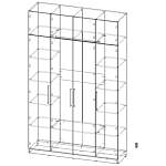 Распашной шкаф Вилета 8 (1700*2700*500)