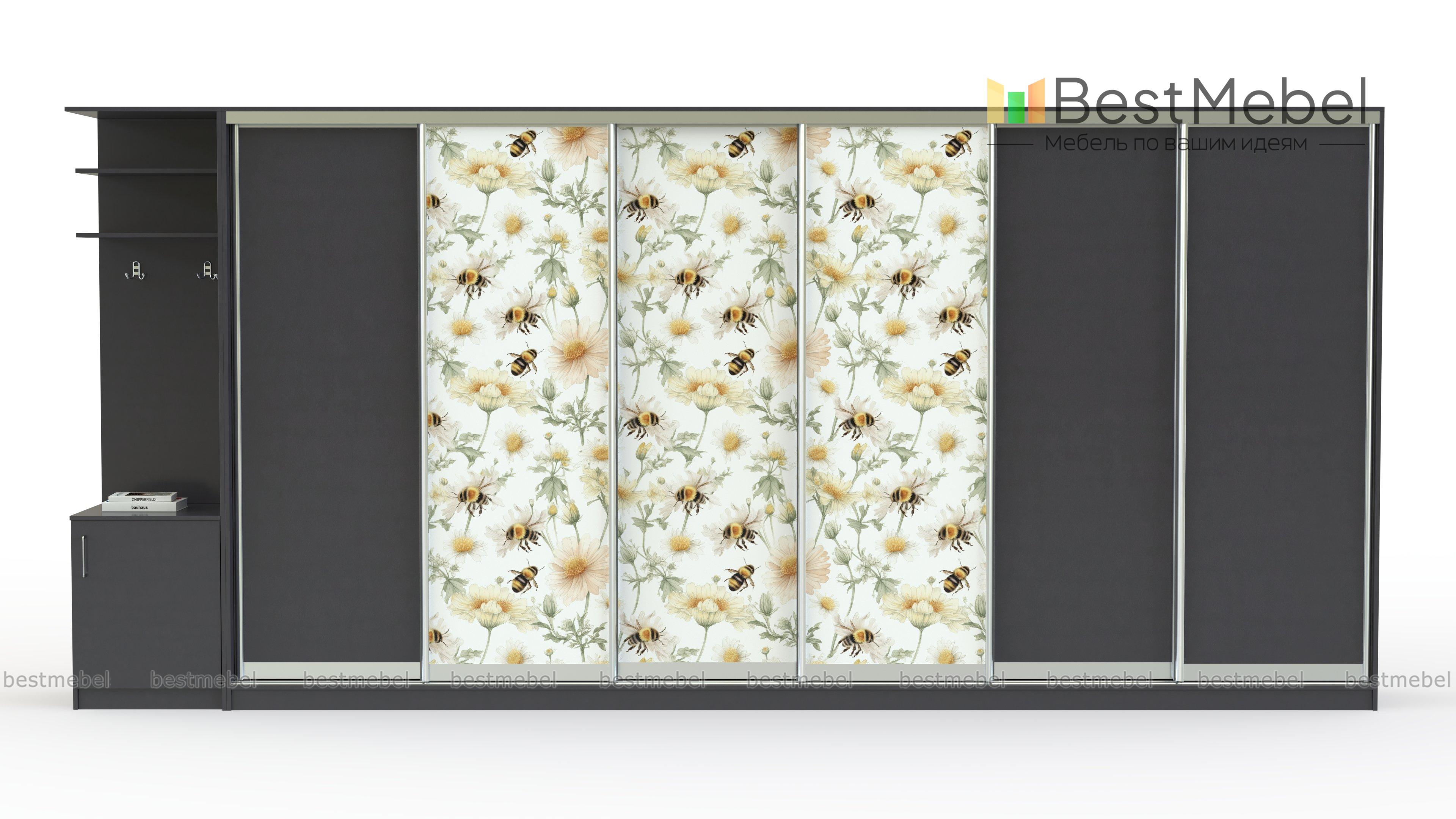 Шкаф-купе Природа 39 BMS - Фото