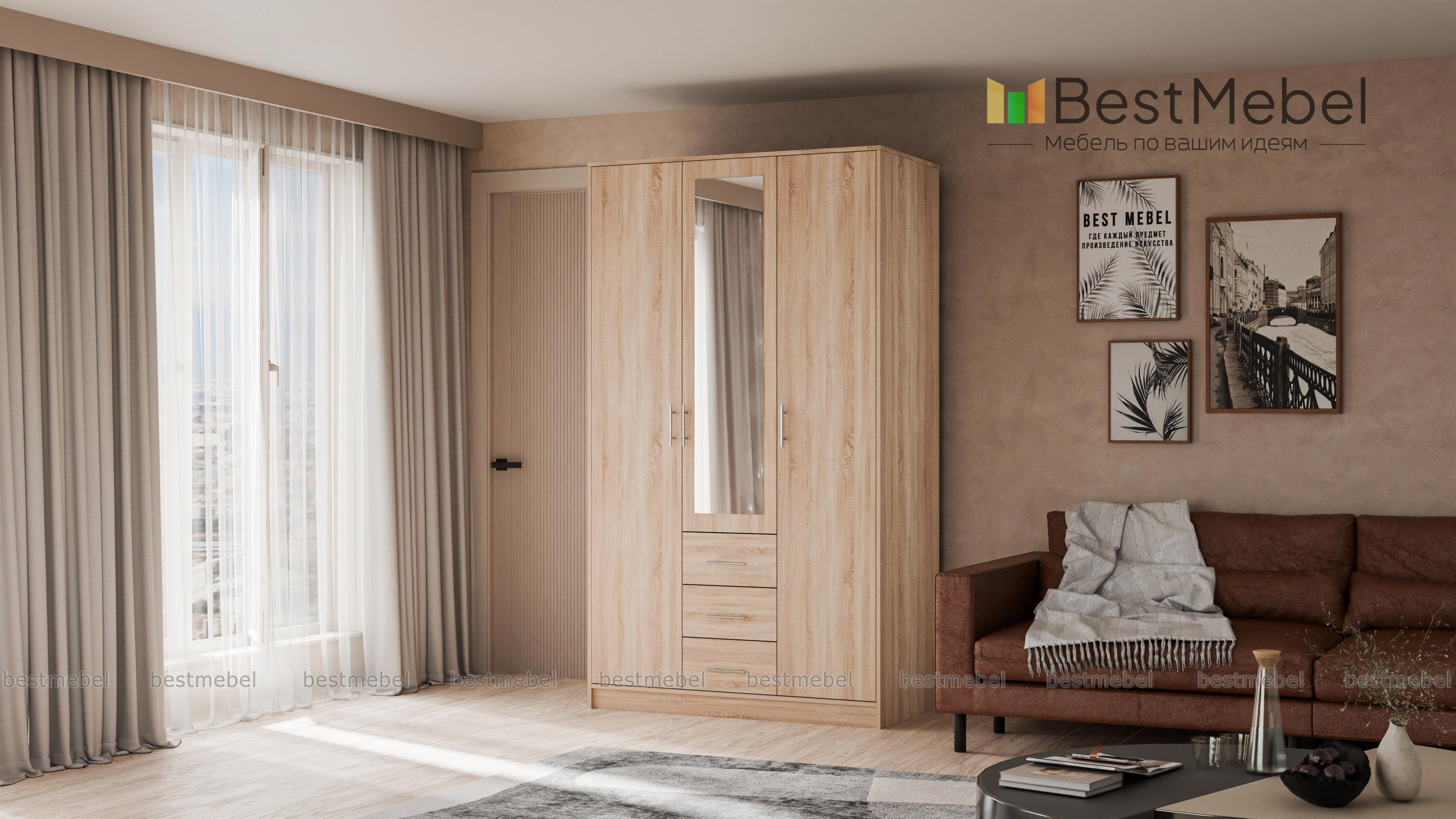 Шкаф 3.3 Шатурский BMS - Фото