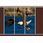 Шкаф-купе Природа 39 BMS - Фото 9