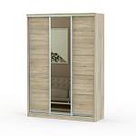 Шкаф-купе Стэн 2 BMS - Фото 6