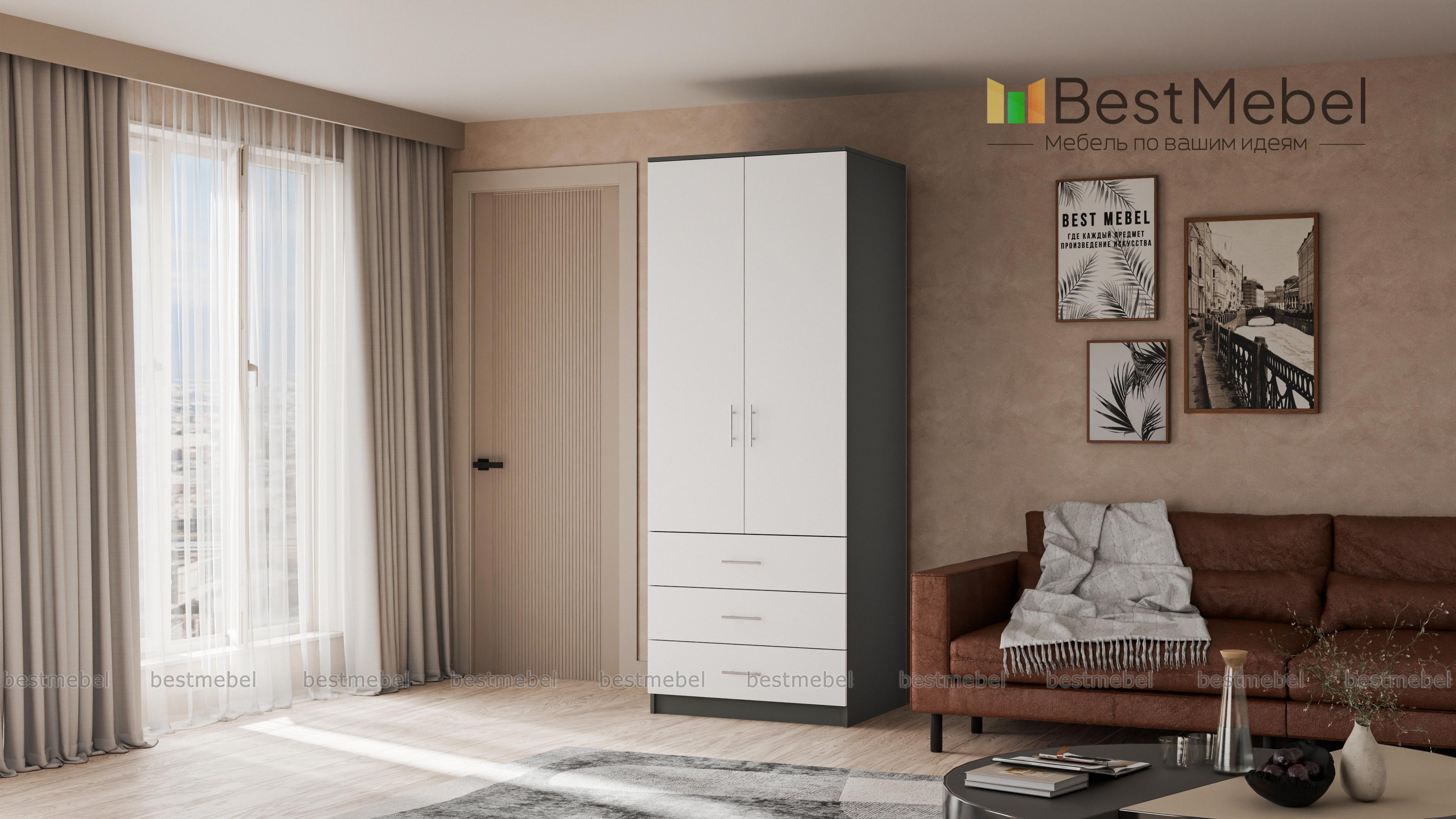 Шкаф 2.3 Шатурский BMS - Фото