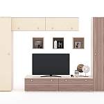 Гостиная Домино 6 BMS - Фото 3