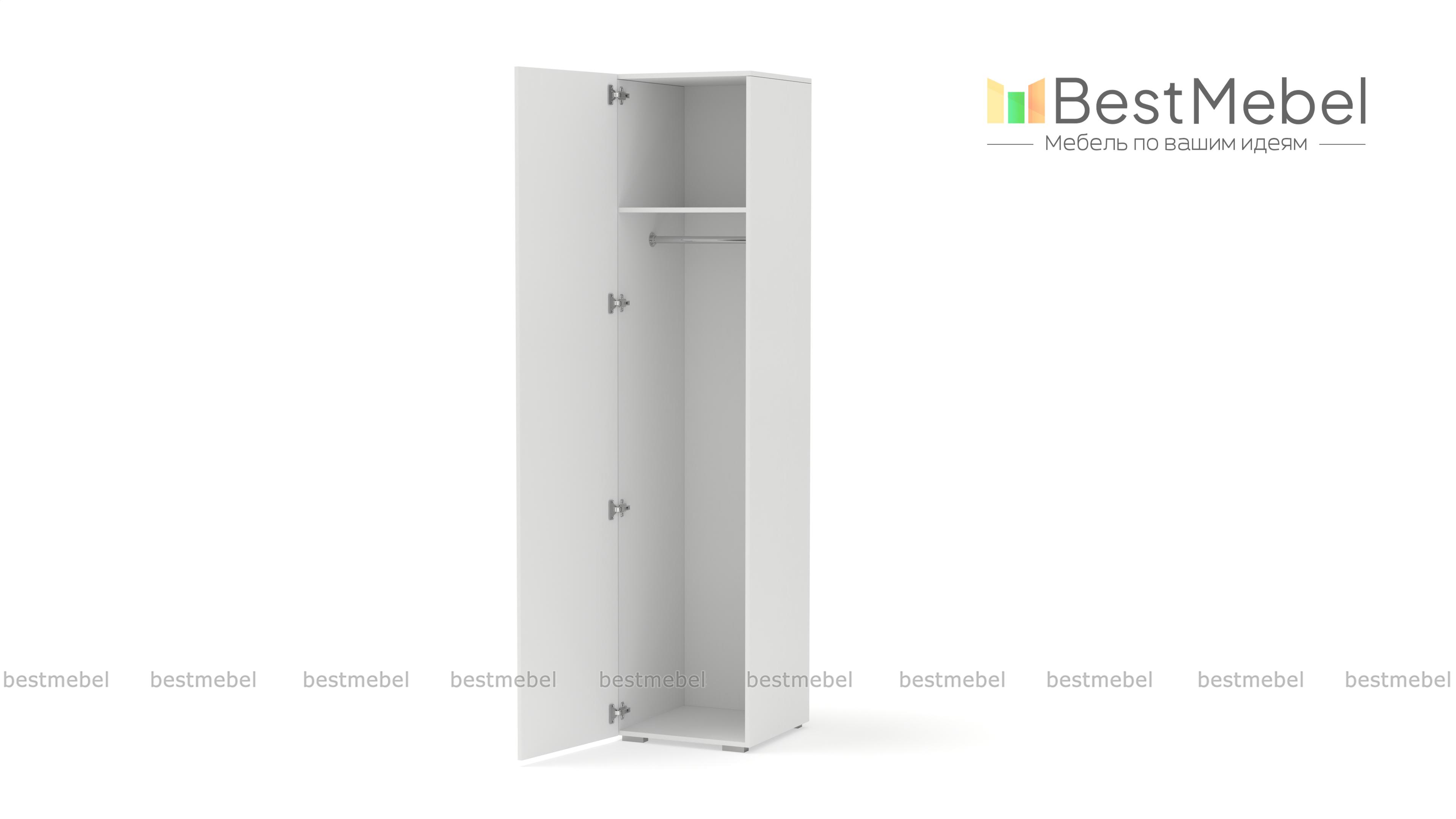 Шкаф распашной Декарт 1 BMS - Фото